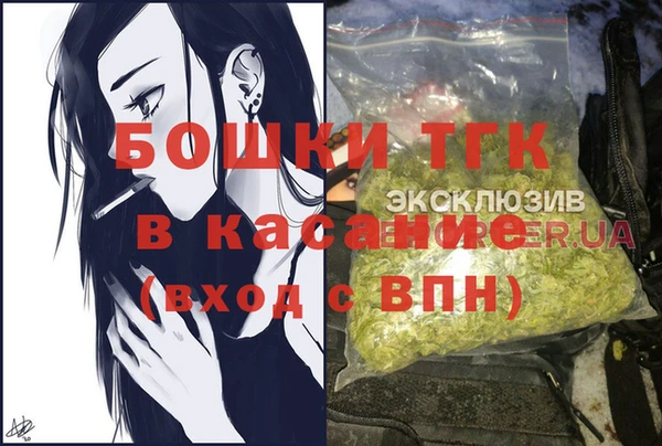 шишки Арсеньев