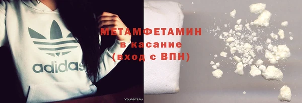 шишки Арсеньев