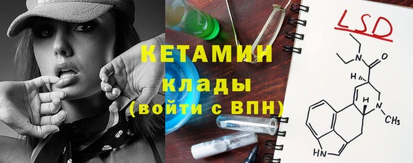 гидра Снежногорск