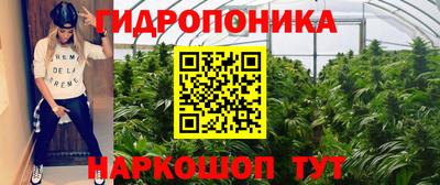 мдпв Гатчина