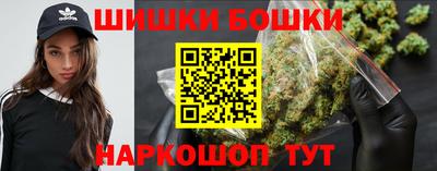 мдпв Гатчина