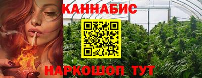 мдпв Гатчина