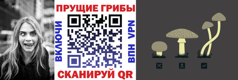 продажа наркотиков  Лесосибирск  Псилоцибиновые грибы Psilocybe 