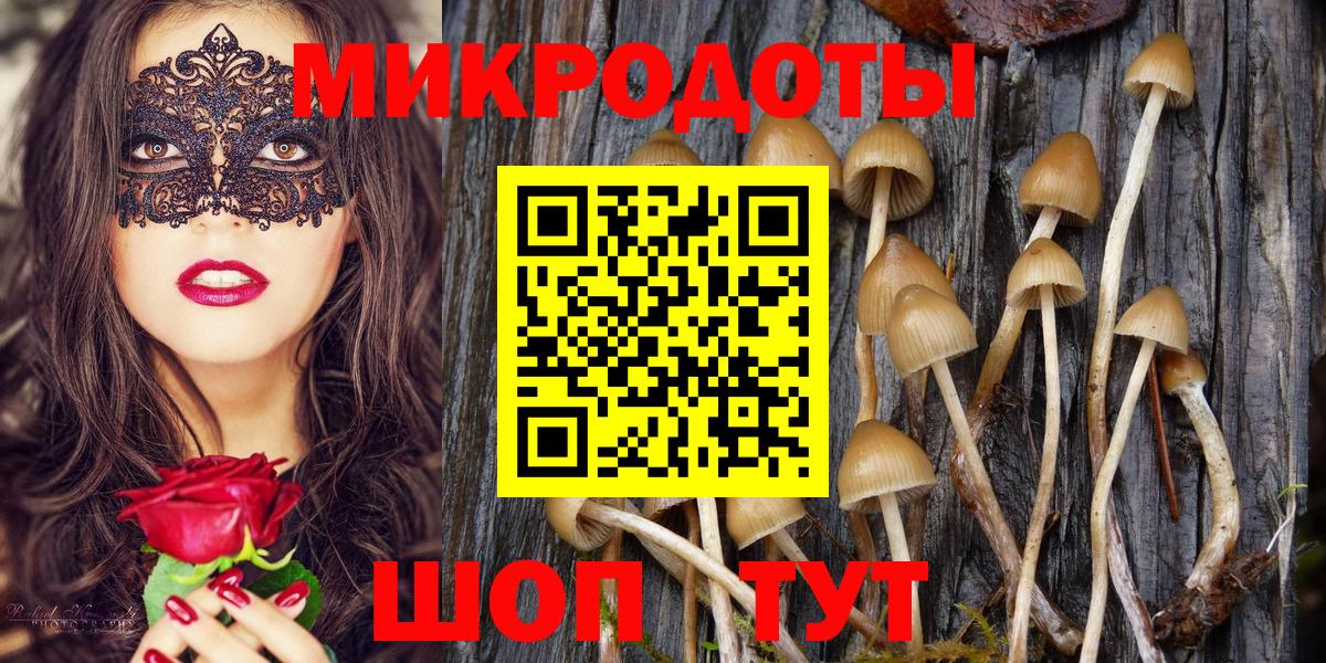 Галлюциногенные грибы Cubensis Лесосибирск
