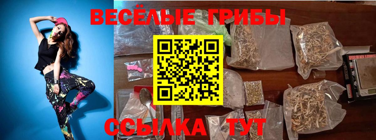 Псилоцибиновые грибы GOLDEN TEACHER  Лесосибирск 